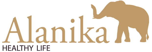 Sākums Alanika